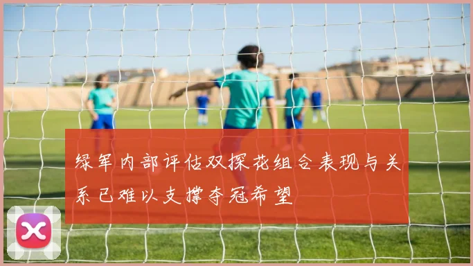 绿军内部评估双探花组合表现与关系已难以支撑夺冠希望